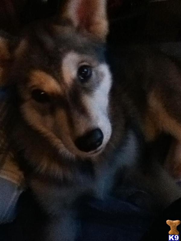 jesse101 Picture 2